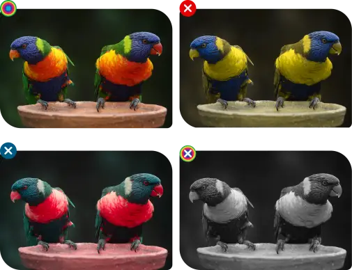 Farbenblindheit_Arten